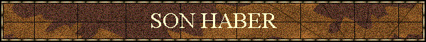 SON HABER